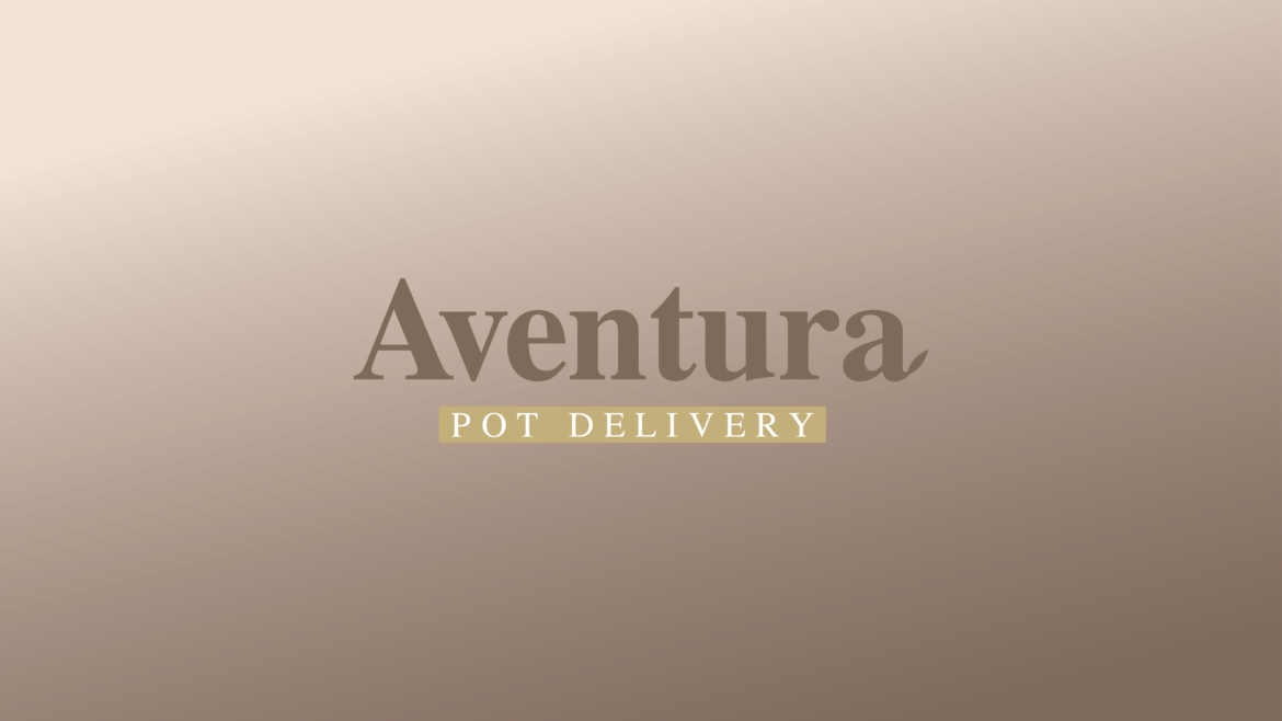 Choosing Terpenes for Medicinal Cannabis Delivery: A Guide for Beginners